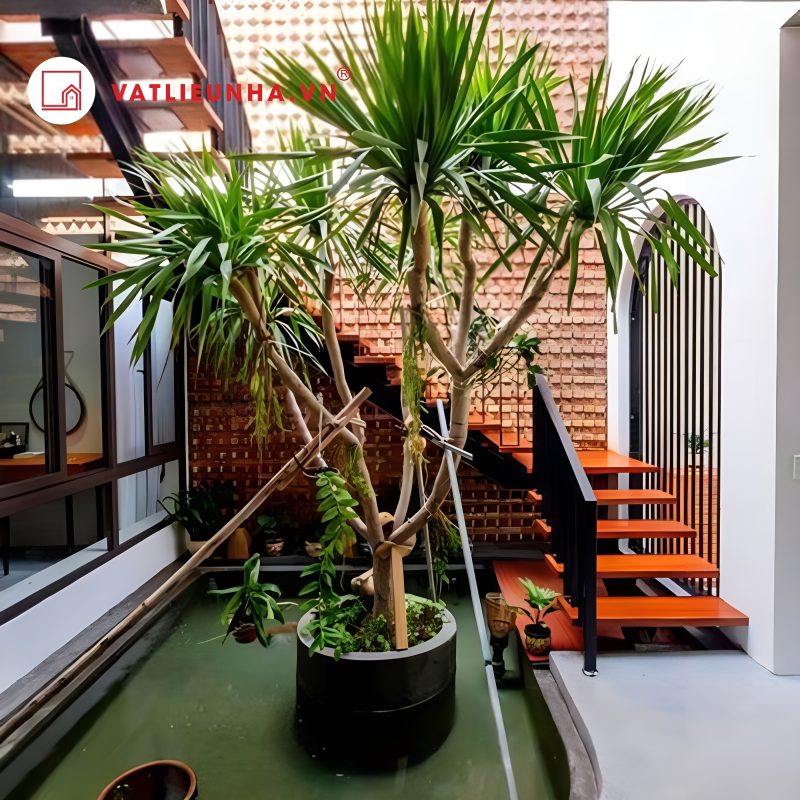 10+ bể cá gầm cầu thang, bể cá dưới chân cầu thang