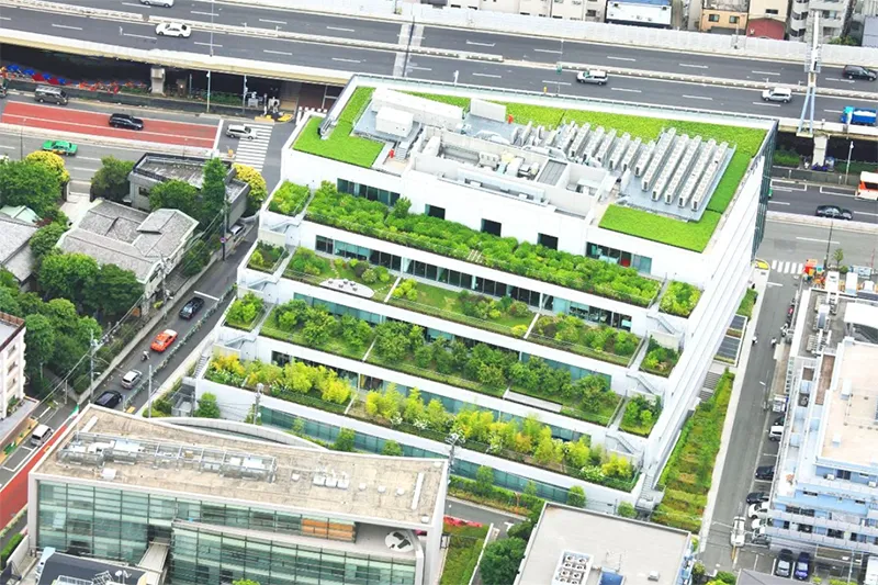 Trồng cây xanh - làm vườn trên mái (Green Roof)