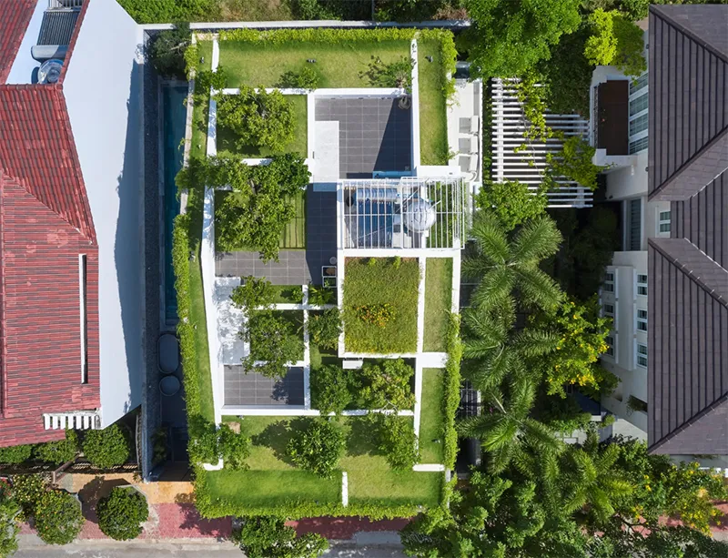 Trồng cây xanh trên sân thượng