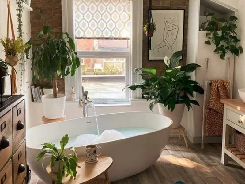 Trang trí cây xanh trong nhà vệ sinh