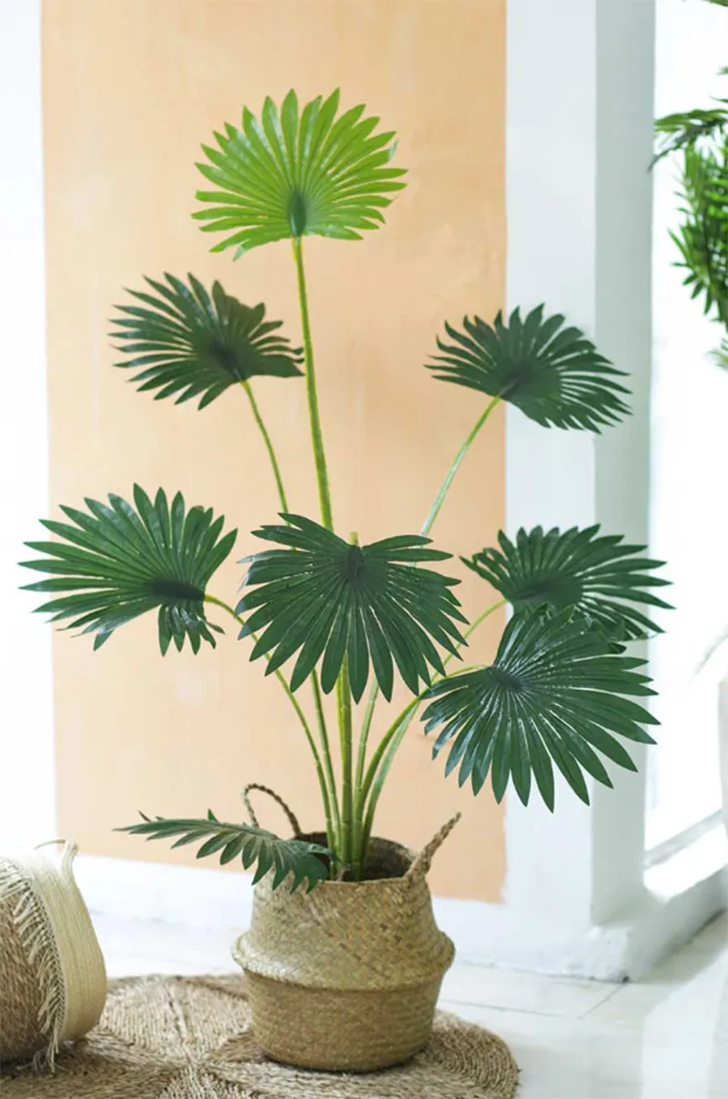 Trang tri cay xanh trong nha ve sinh 14