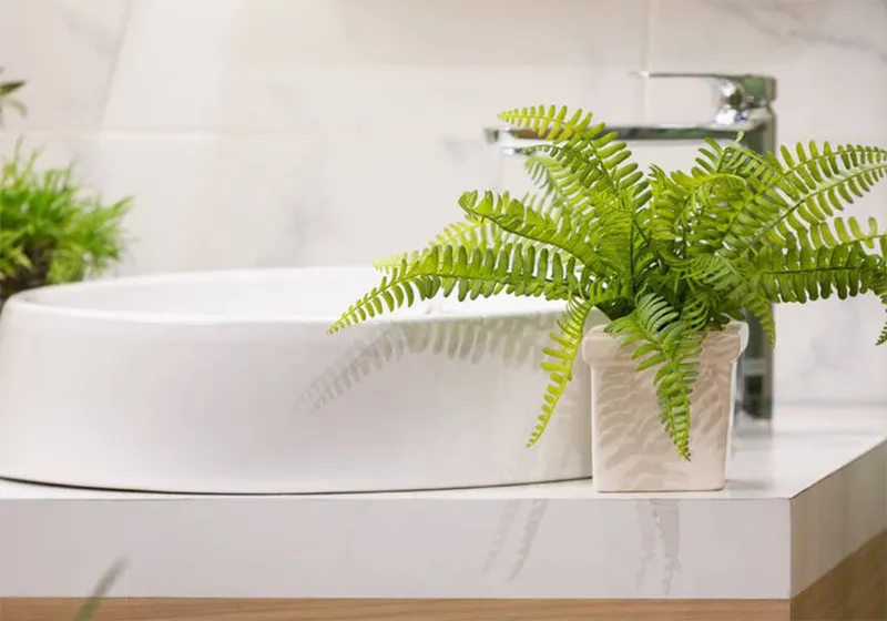 Trang trí cây xanh trong nhà vệ sinh