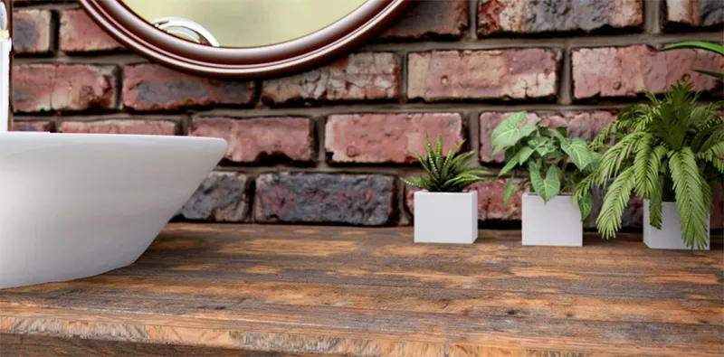 Cách chọn cây để trong nhà vệ sinh đúng chuẩn