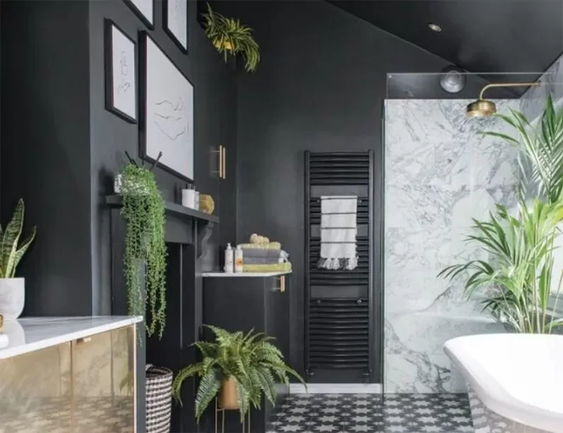 Lợi ích khi đặt cây trong nhà vệ sinh