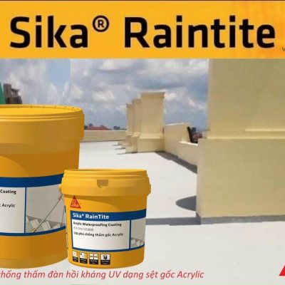 Hợp chất chống thấm Sika RainTite