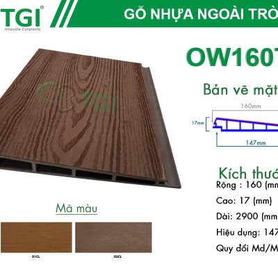 GỖ NHỰA COMPOSITE NGOÀI TRỜI TGI - Mã OW160T17
