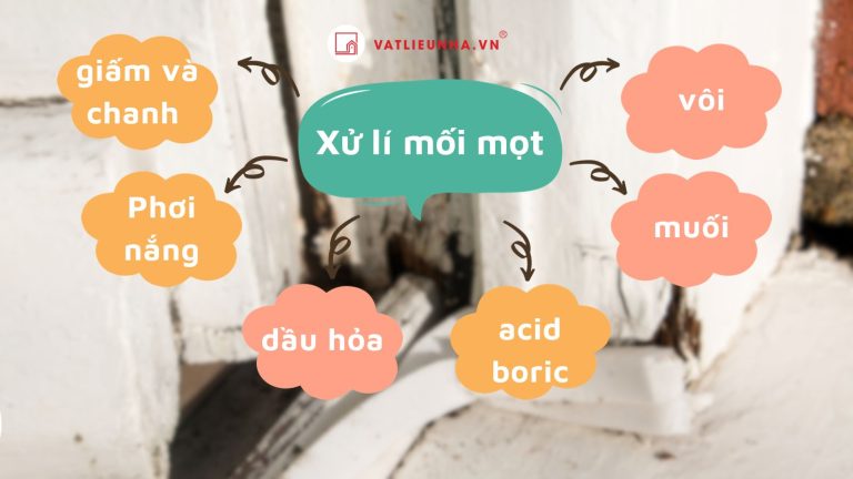 Mách bạn 10 cách xử lý mối mọt và 5 cách phòng chống tận gốc, hiệu quả