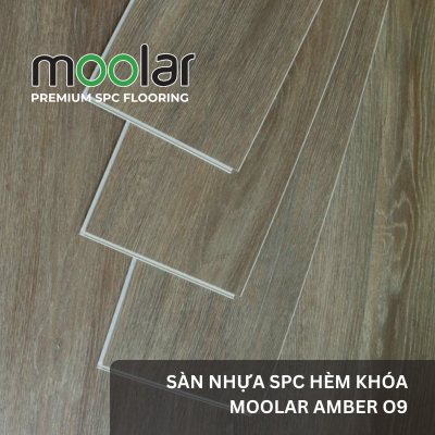 Sàn nhựa hèm khóa moolar 06