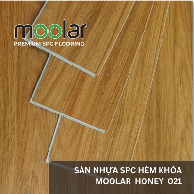 Sàn nhựa hèm khóa moolar 09