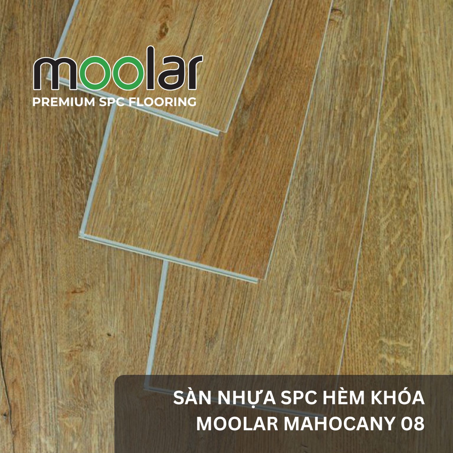 Sàn nhựa hèm khóa moolar 06
