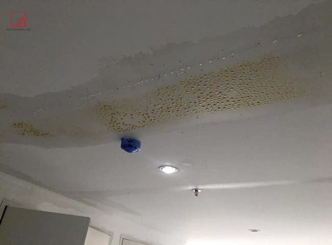 Nguyên nhân trần nhà bị thấm nước
