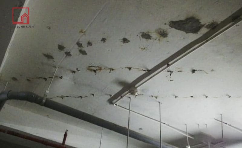 TOP 2 CÁCH CHỐNG THẤM NGƯỢC TRẦN NHÀ HIỆU QUẢ NHẤT