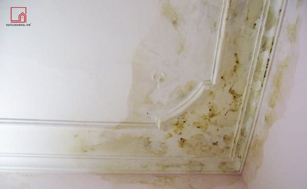 Nguyên nhân khiến trần nhà bị thấm nước và cách xử lý hiệu quả