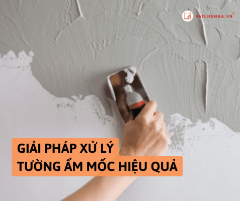 Giải pháp xử lý tường ẩm mốc hiệu quả, tiết kiệm chi phí