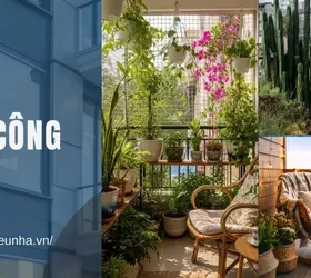 cay phong thuy trong ngoai ban cong nen trong cay gi ngoai ban cong nen trong cay gi o ban cong chung cu trong cay ban cong dep 1