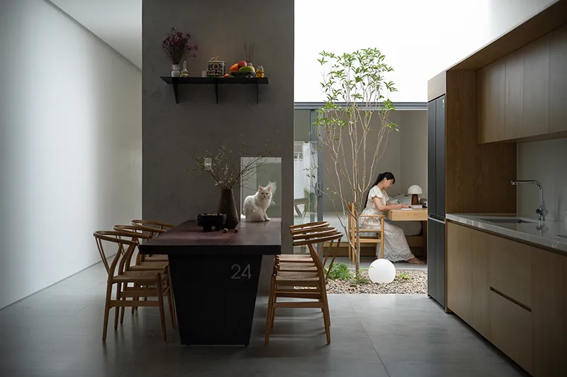 Nhà Nam Đà – Gợi mở cách xây nhà đẹp từ điều kiện thực tế