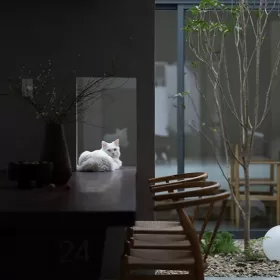 Mẫu nhà đẹp tiết kiệm chi phí: Nhà Nam Đà và tư duy kiến trúc thích ứng