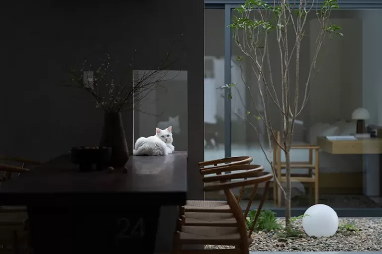 Mẫu nhà đẹp tiết kiệm chi phí: Nhà Nam Đà và tư duy kiến trúc thích ứng
