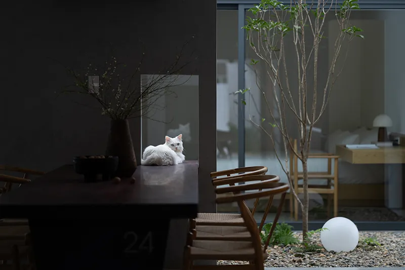 Mẫu nhà đẹp tiết kiệm chi phí